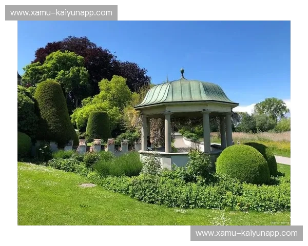 苏黎世的金色光芒与门兴的绿色森林：瑞士与德国足球的魅力碰撞